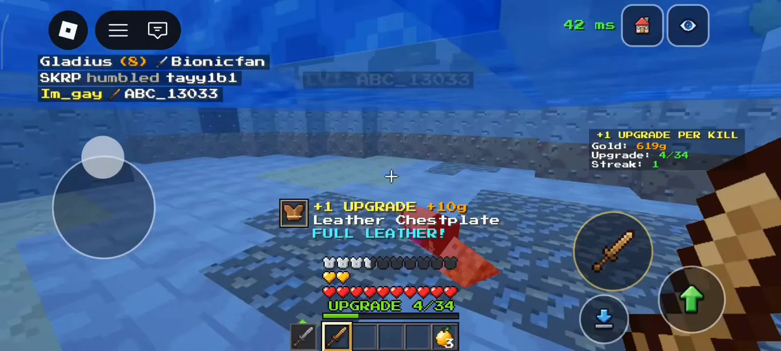 FULL LEATHER kill banner at upgrade 4 of 34 in +1 Upgrade Per Kill